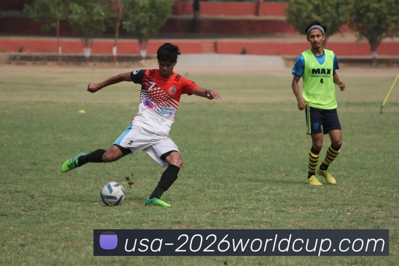 美加墨世界杯平台生态图